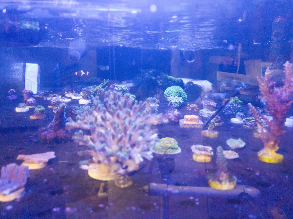 LRM_20210630_204841.jpg