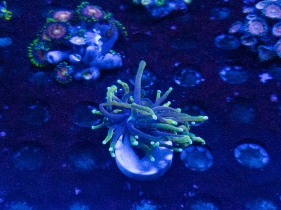 LRM_20210630_205038.jpg