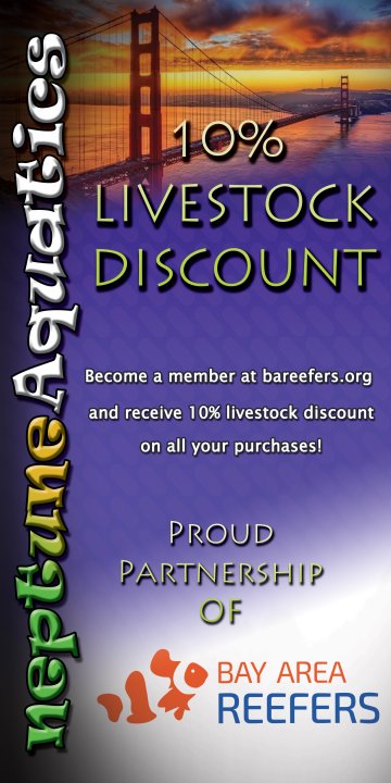 neptune display banner - bar discount - vertical 2.jpeg