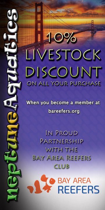 neptune display banner - bar discount - vertical 6.jpeg