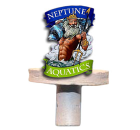 Neptunes.png