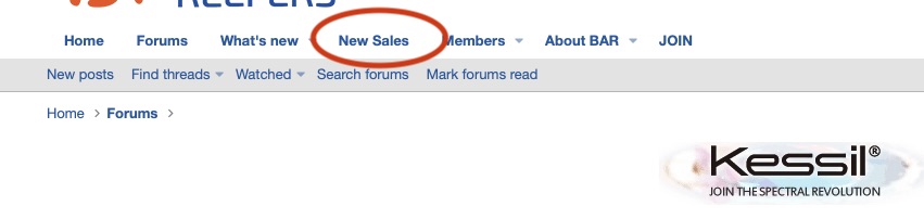 new_sales.jpg