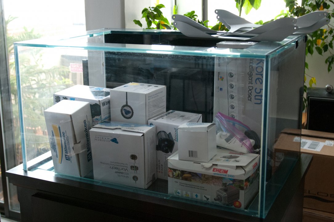 NewBuild-4.jpg