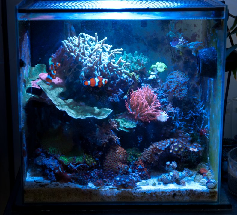 NewBuild-5.jpg