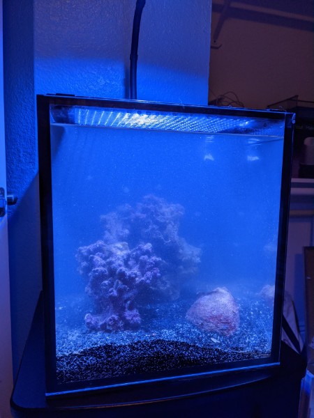 Nuvo10 3.jpg