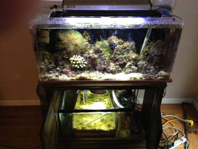 old tank picture.jpg