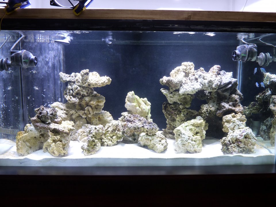 P1000001.jpg