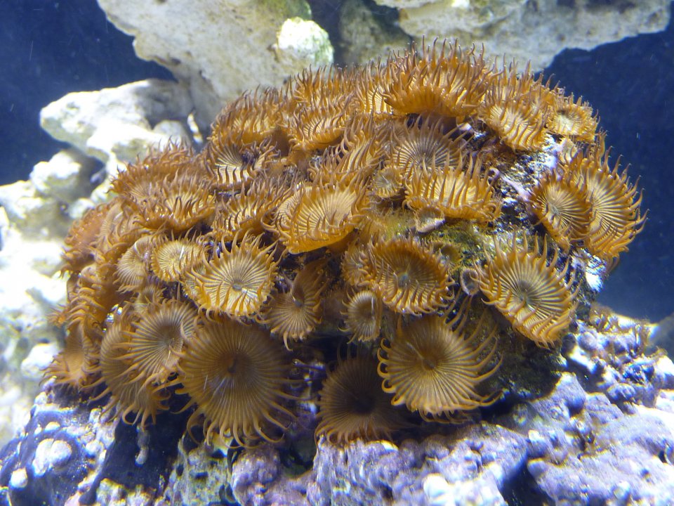 P1000018.jpg
