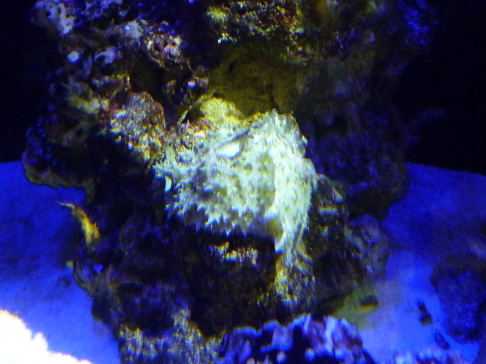 P1000104.JPG