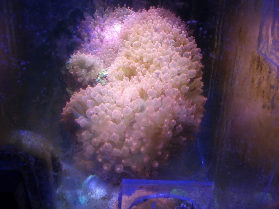 P1010015.JPG