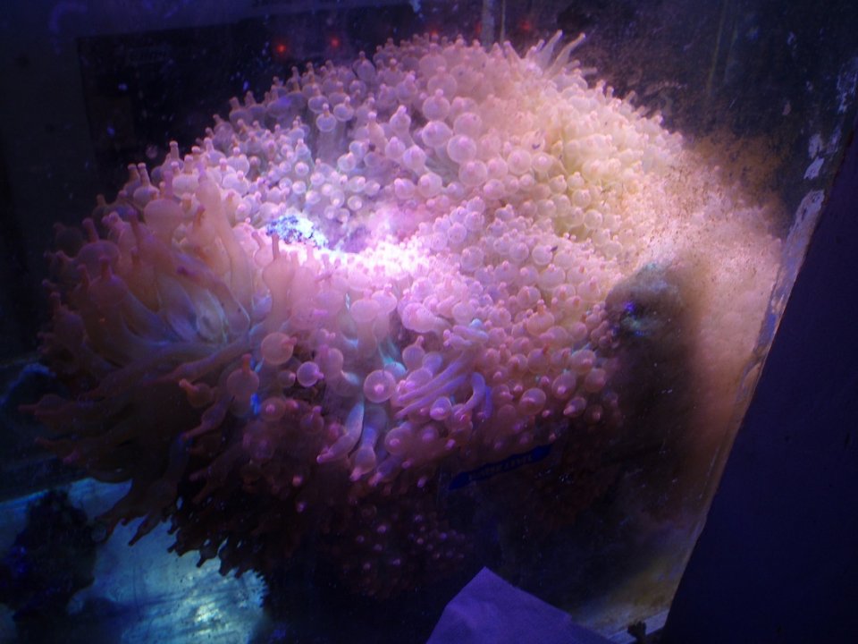 P1010016.JPG