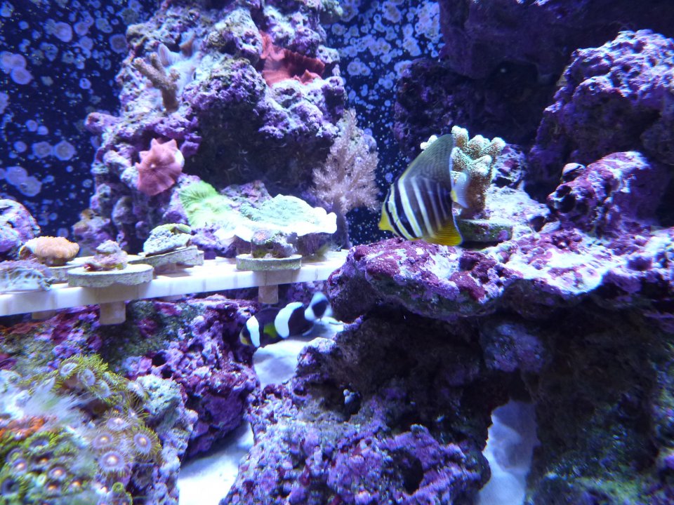 P1010332.jpg