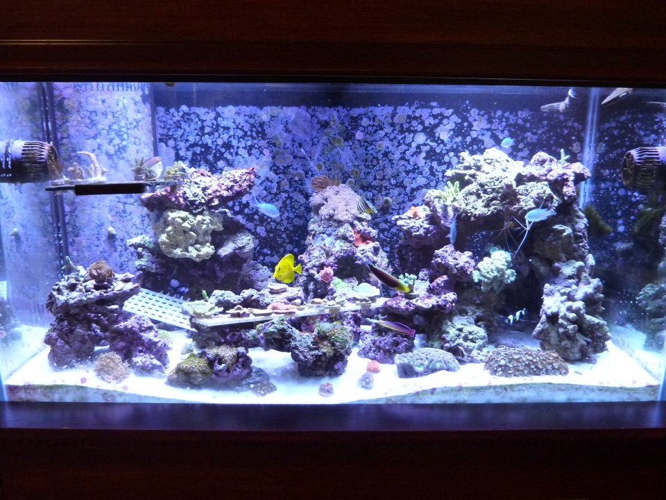 P1010339.jpg