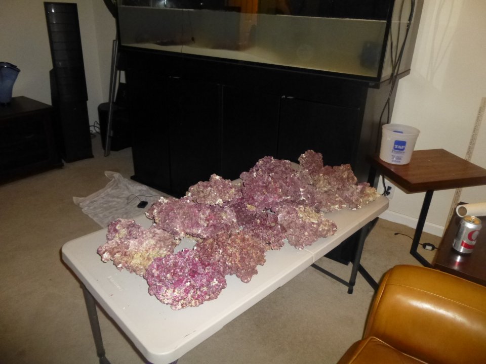 P1010397.JPG