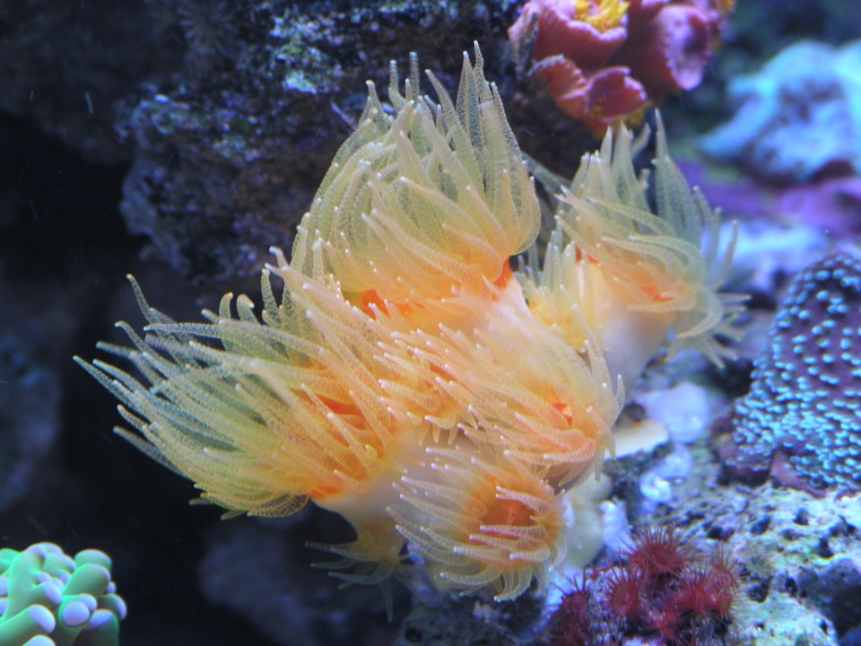 P1016131.JPG