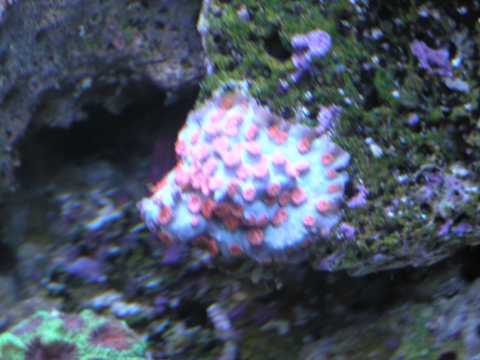 P1016135.JPG