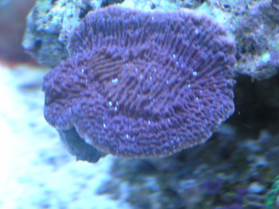 P1016136.JPG