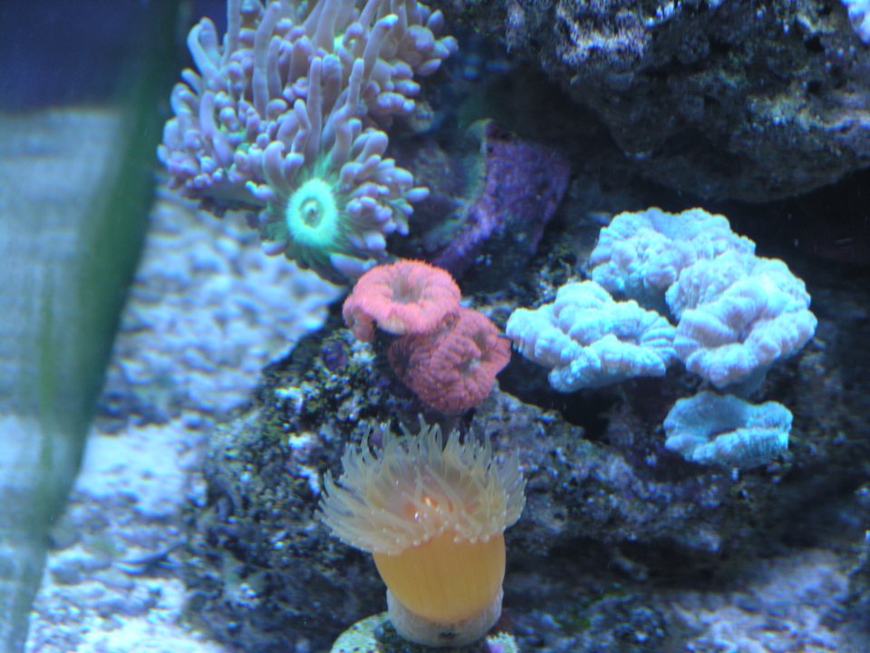 P1016140.JPG