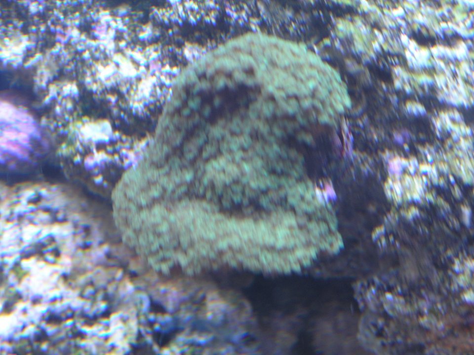 P1016144.JPG