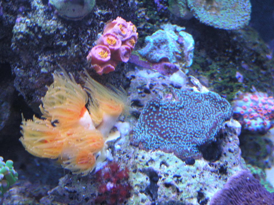 P1016145.JPG
