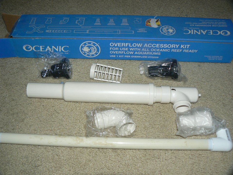 P1060256.JPG