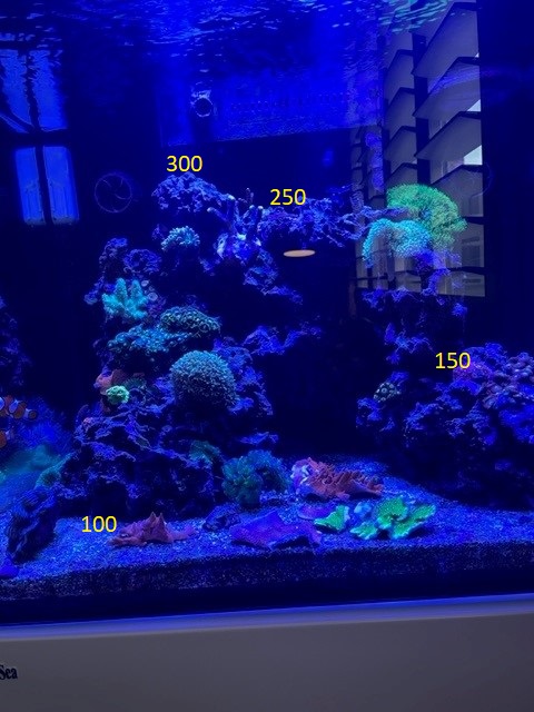 Par 11-22-22.jpg