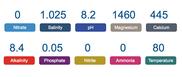 params.png