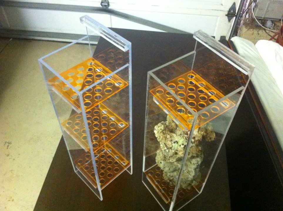 photo 4.JPG