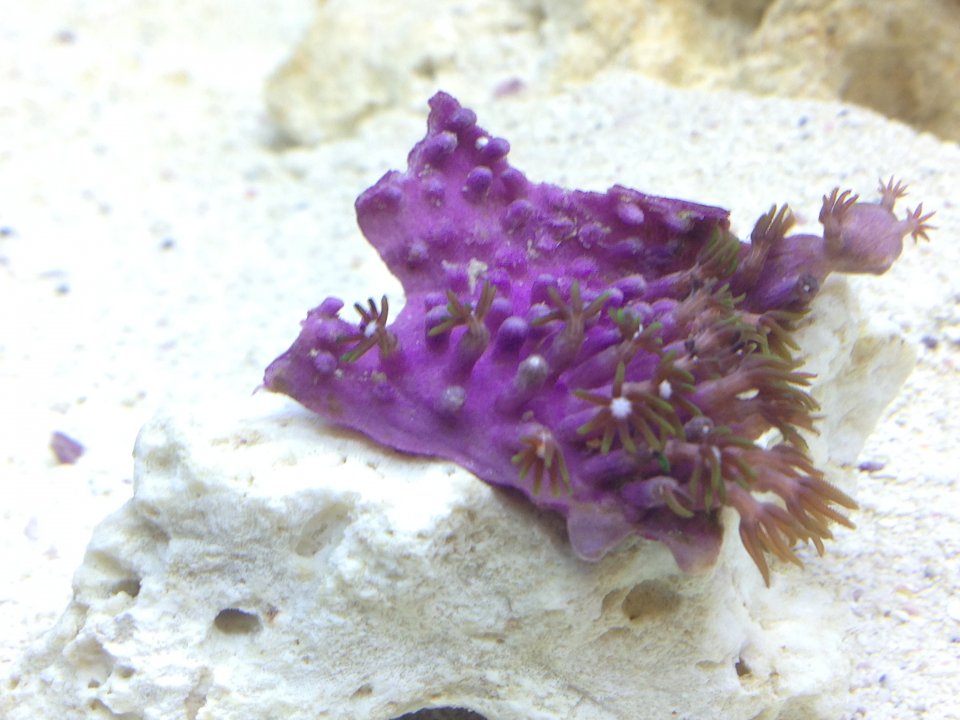 photo 9.JPG