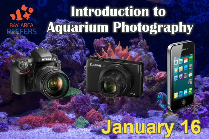 Photography2.png
