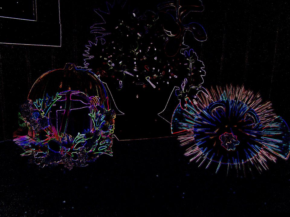 pumpkins 2015.jpg