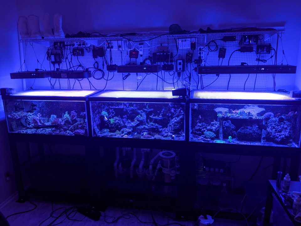 PXL_20201114_022653990.jpg