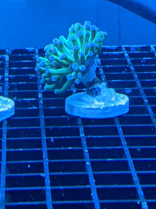 PXL_20201120_051121707.jpg