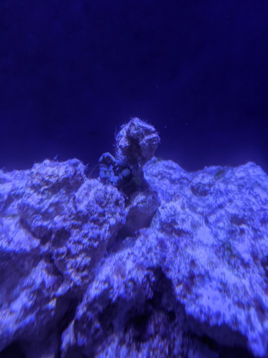 PXL_20201202_220640165.jpg