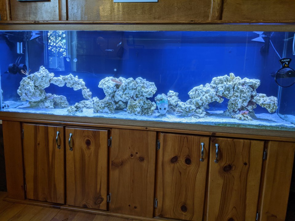 PXL_20210117_211239371.jpg