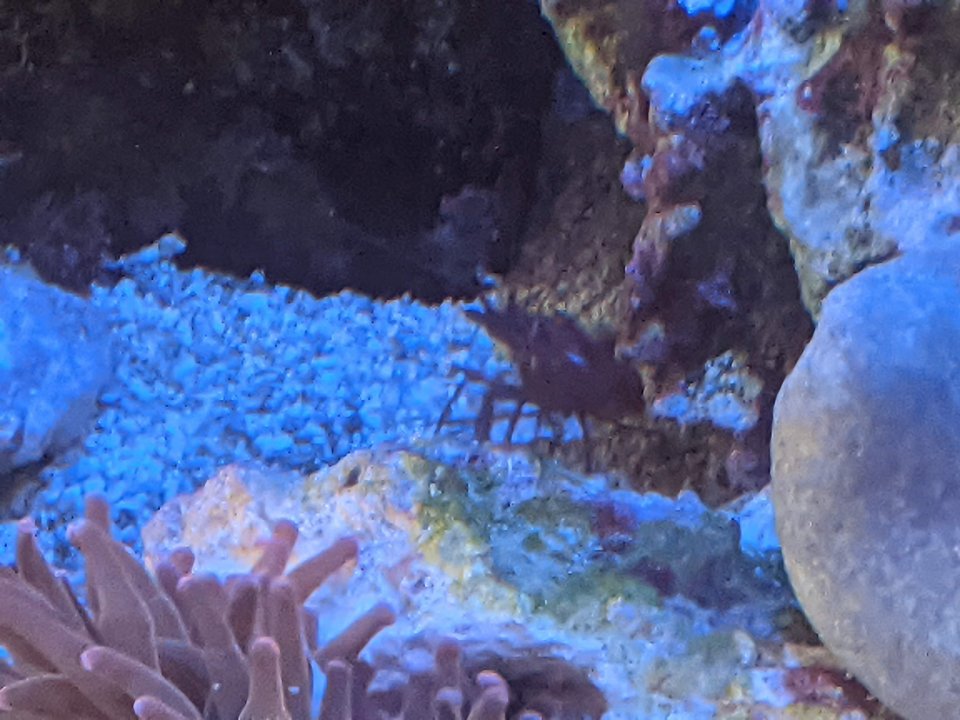 PXL_20210123_182712103.jpg