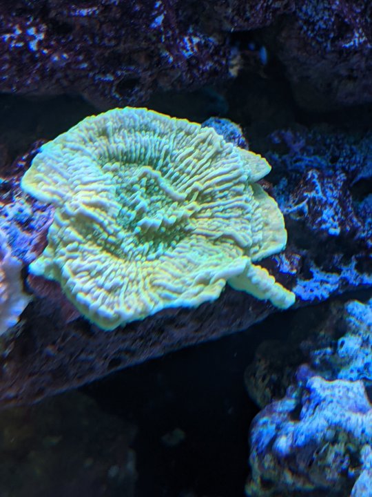 PXL_20210814_191405273.jpg