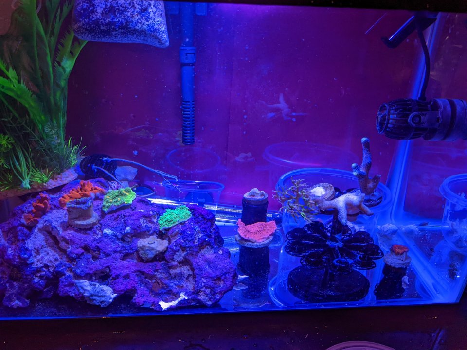 PXL_20220206_230611714.jpg