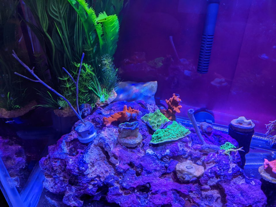 PXL_20220207_025812886.jpg