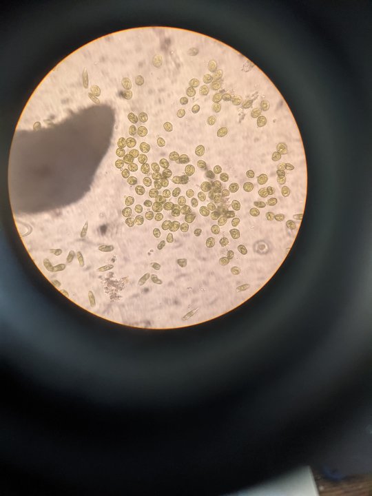 PXL_20220222_213955101.jpg