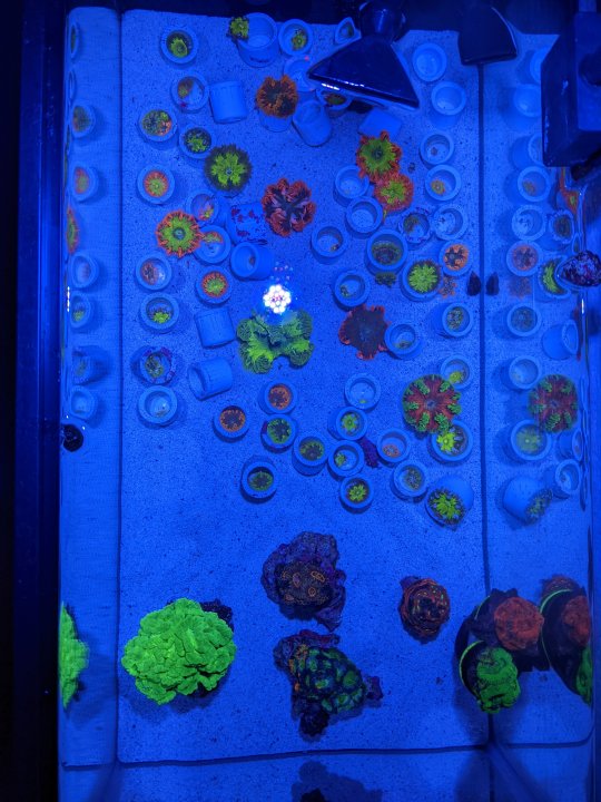 PXL_20220303_022118081.jpg