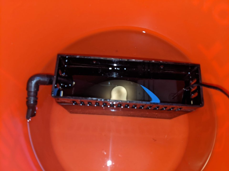 PXL_20220331_015904674.jpg