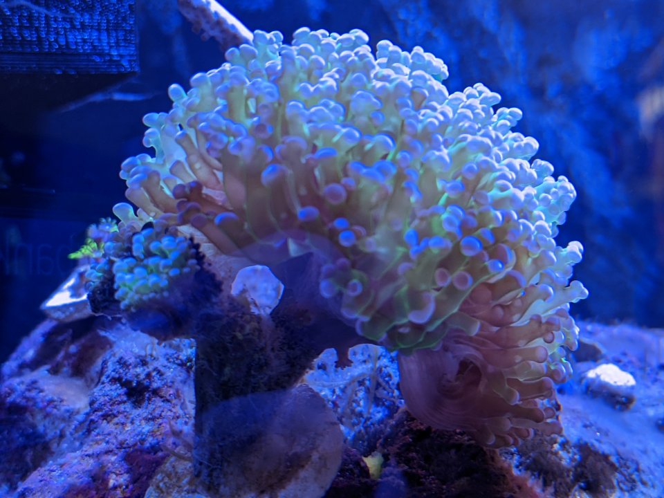 PXL_20220419_191133488.jpg