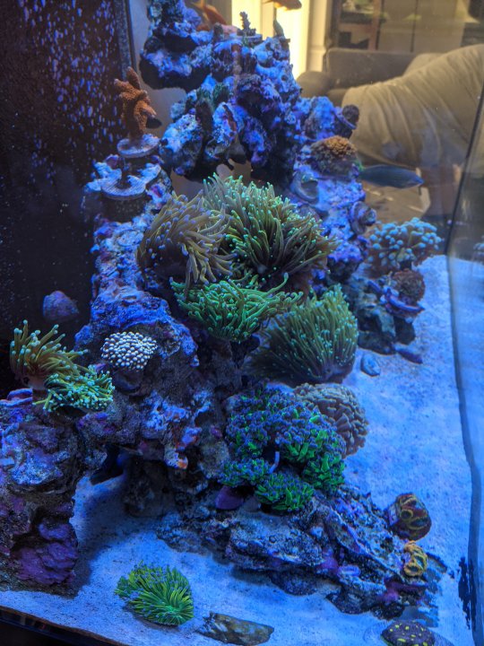 PXL_20220430_232311530.jpg
