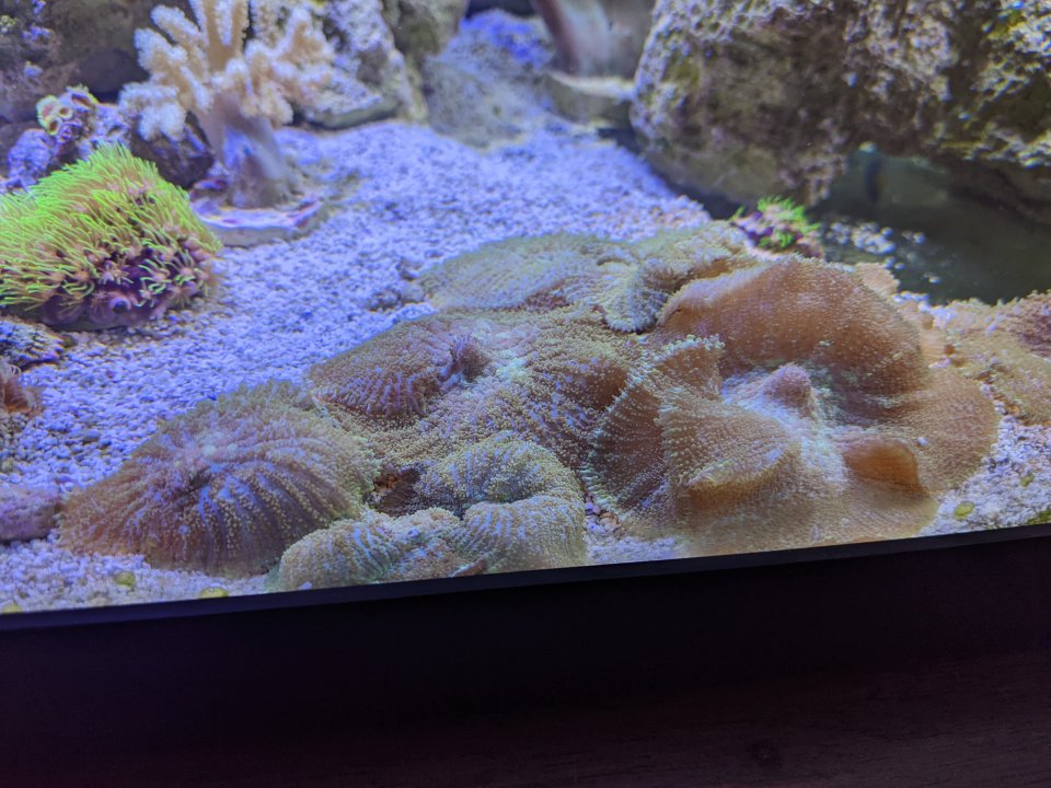PXL_20220507_023440430.jpg