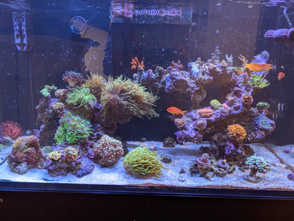 PXL_20220515_224534902.jpg