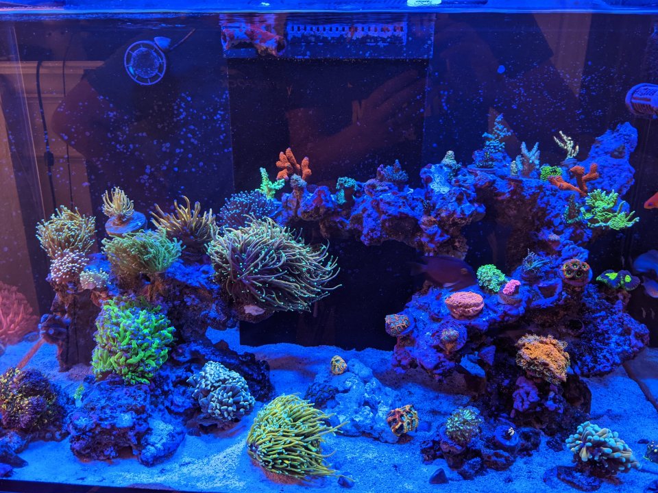 PXL_20220522_173639955.jpg