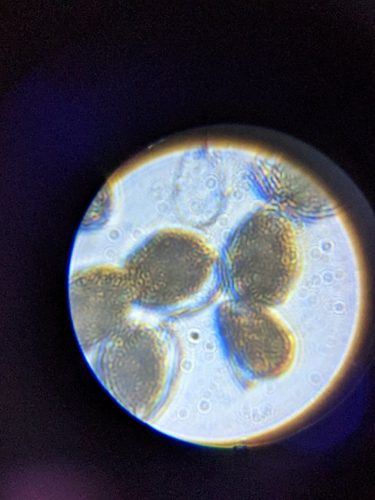 PXL_20220613_012126799.jpg