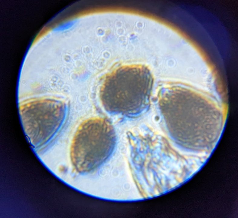 PXL_20220613_012330160.jpg