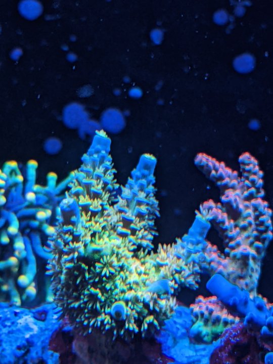 PXL_20220804_224334074.jpg